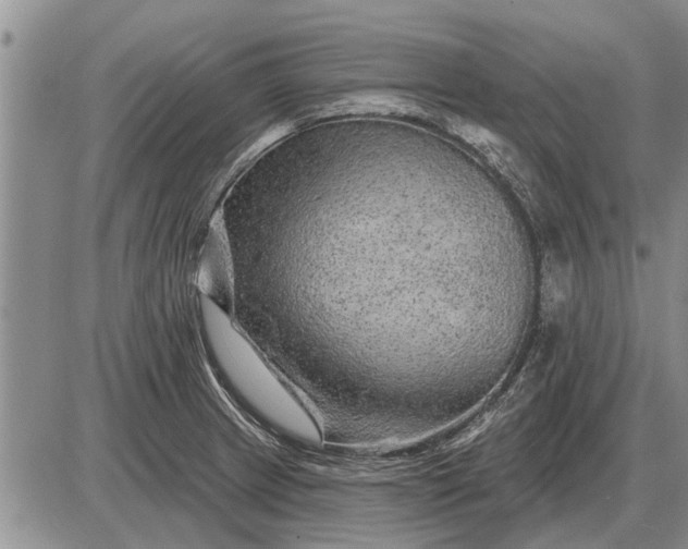 X0000085061233200703191316