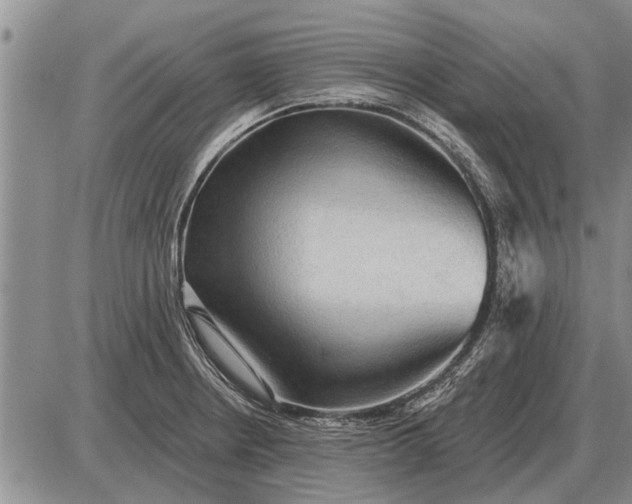 X0000085061234200703191316