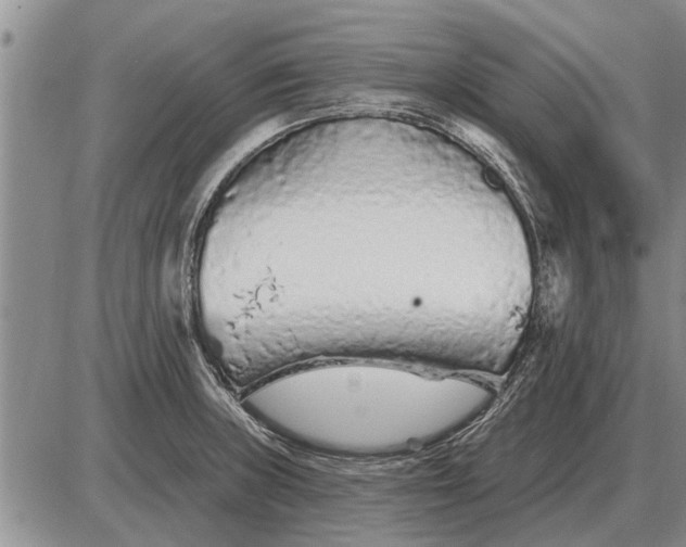 X0000085061235200703191316