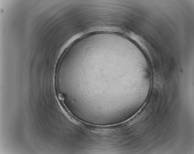 X0000085061237200703191316