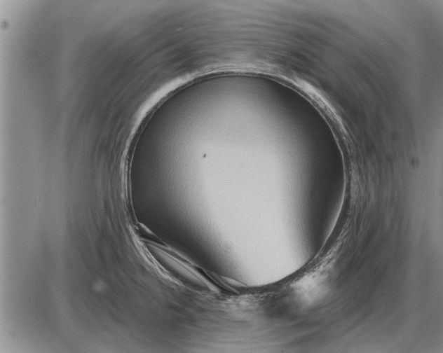 X0000085061238200703191316