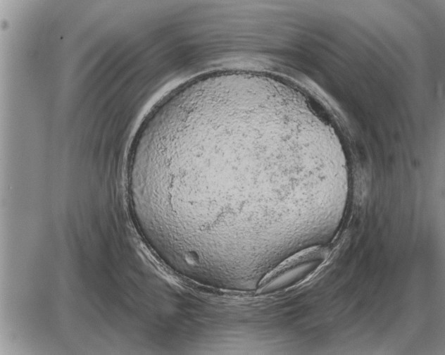 X0000085061240200703191316