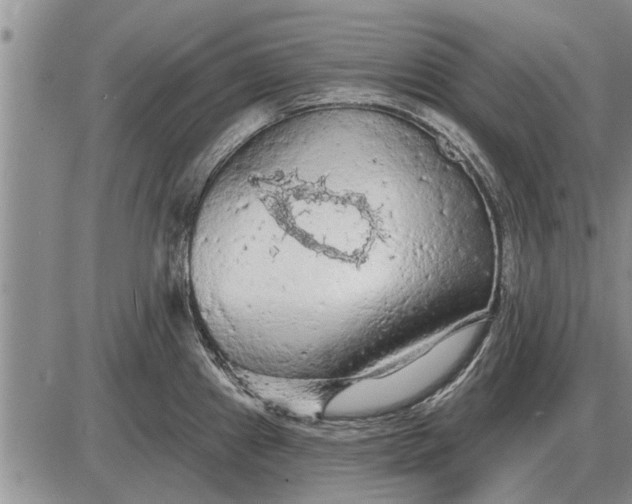 X0000085061241200703191316