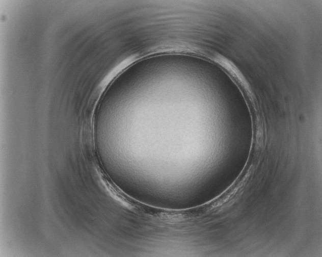 X0000085061242200703191316