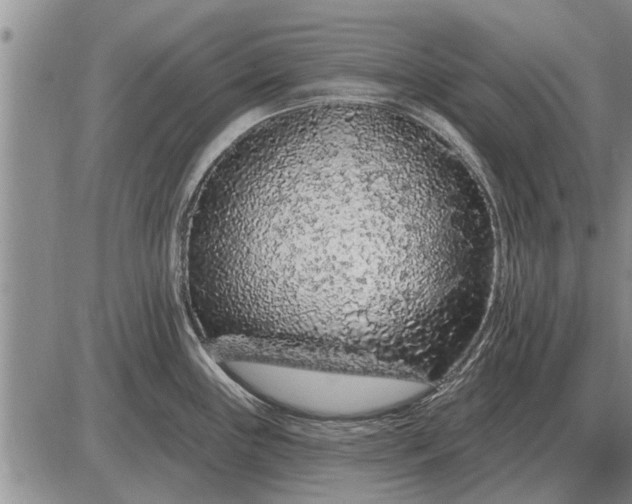 X0000085061243200703191316