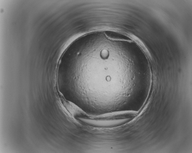 X0000085061244200703191316