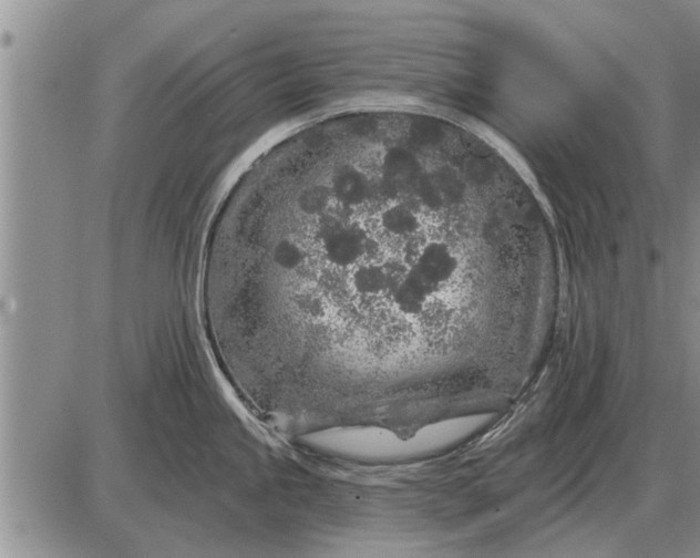 X0000085061245200703191316