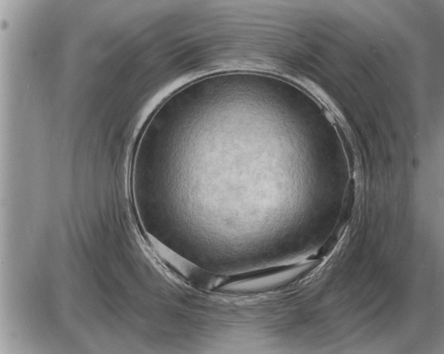 X0000085061246200703191316