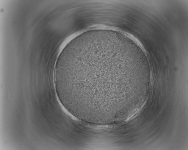 X0000085061247200703191316