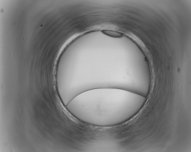 X0000085061248200703191316