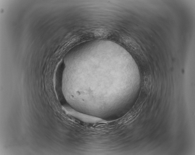 X0000085061249200703191316