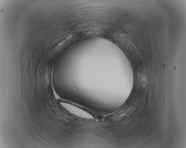 X0000085061250200703191316