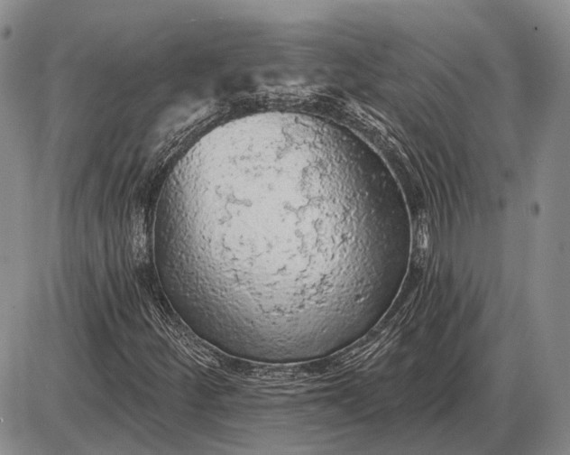 X0000085061252200703191316