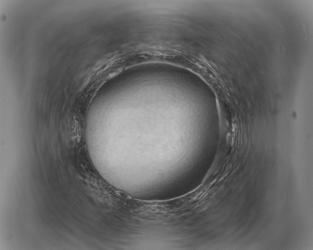 X0000085061253200703191316