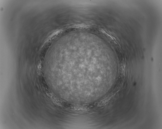 X0000085061254200703191316