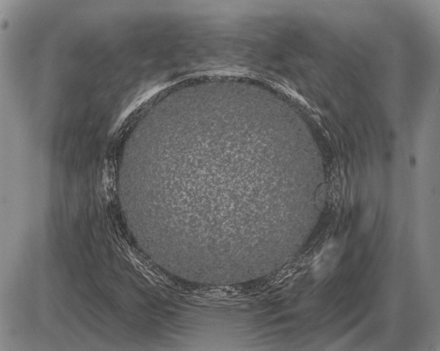 X0000085061255200703191316