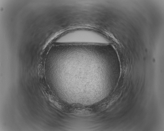 X0000085061256200703191315