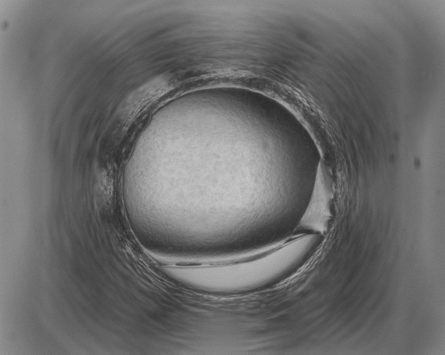 X0000085061257200703191315