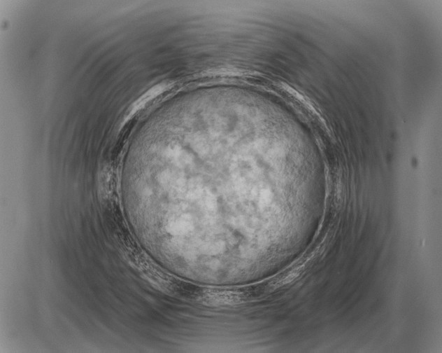 X0000085061258200703191315