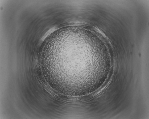 X0000085061259200703191315