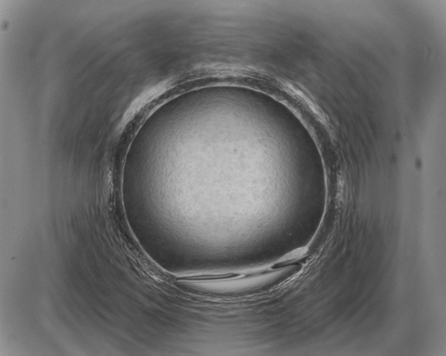 X0000085061261200703191315