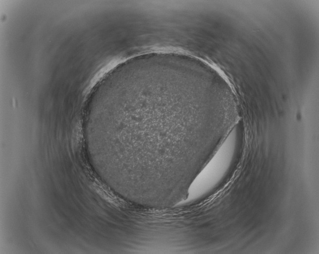 X0000085061263200703191315