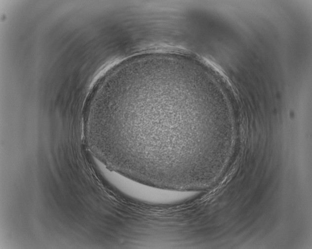 X0000085061267200703191315