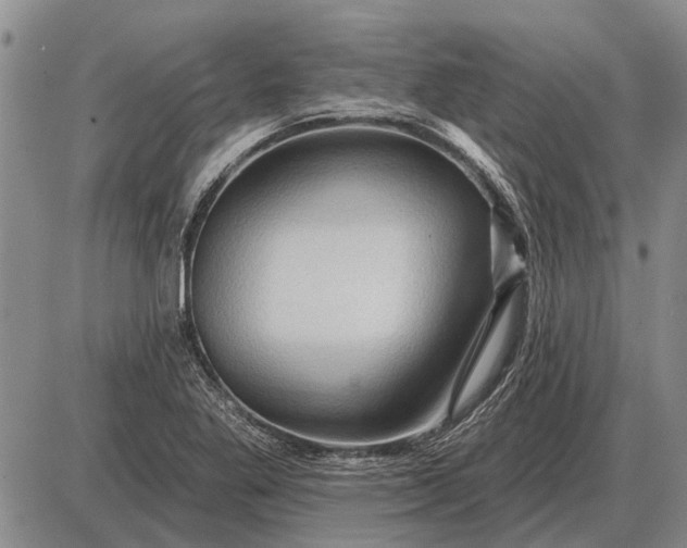 X0000085061269200703191315