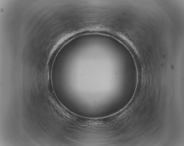 X0000085061270200703191315