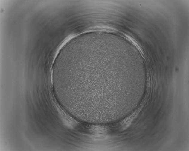 X0000085061275200703191315