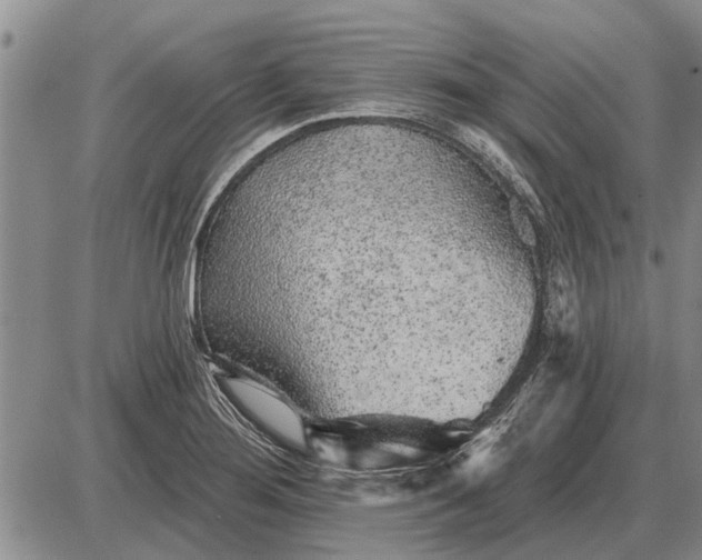 X0000085061276200703191315