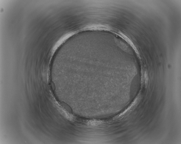 X0000085061277200703191315