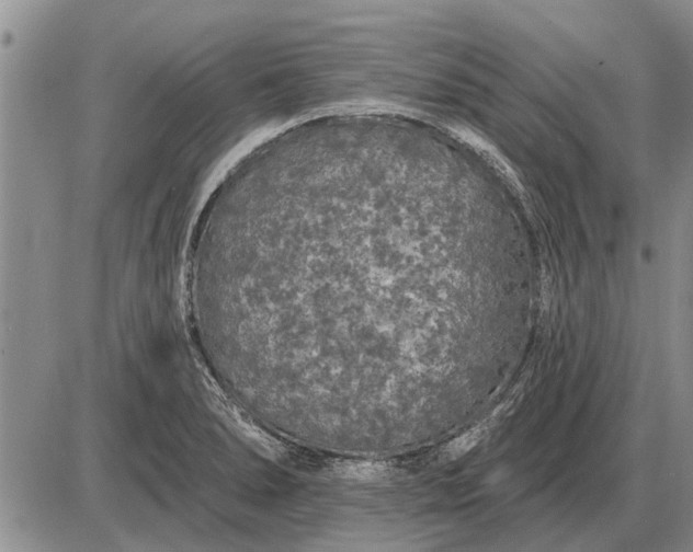 X0000085061278200703191315