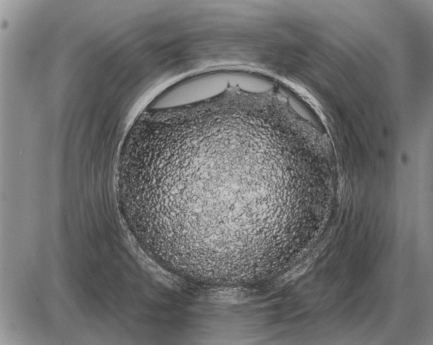 X0000085061279200703191315