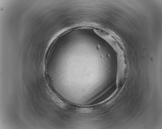 X0000085061280200703191315