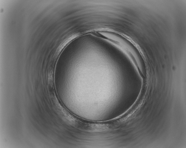 X0000085061281200703191315