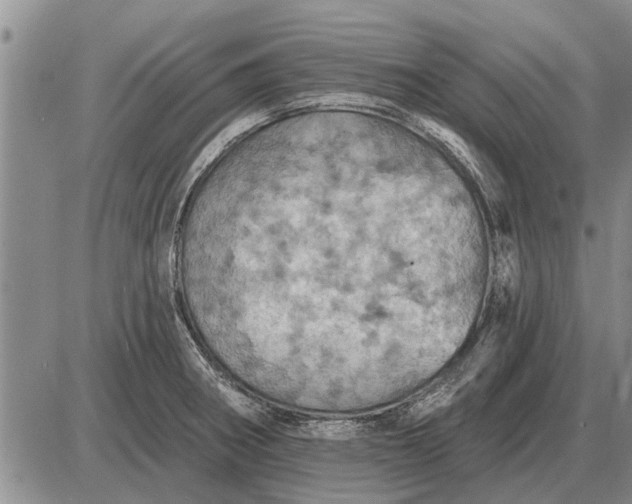 X0000085061282200703191315