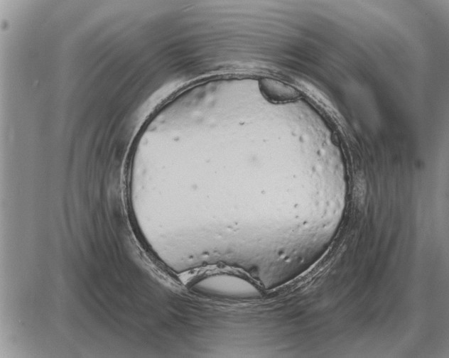 X0000085061283200703191315