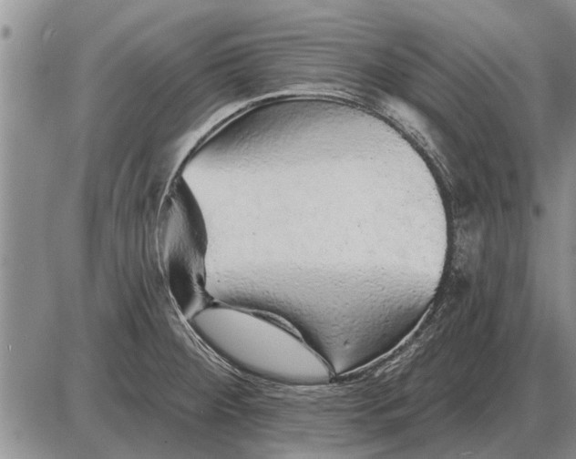 X0000085061284200703191315