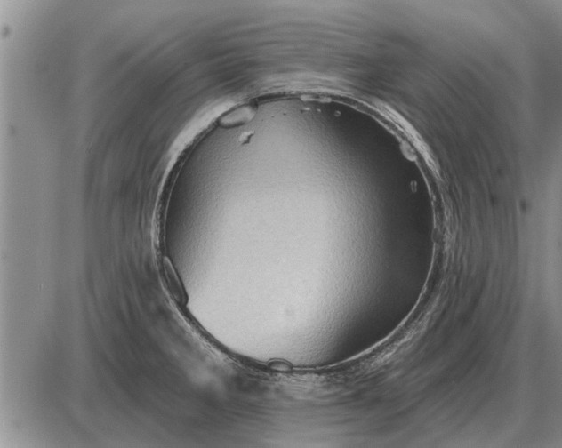 X0000085061285200703191315