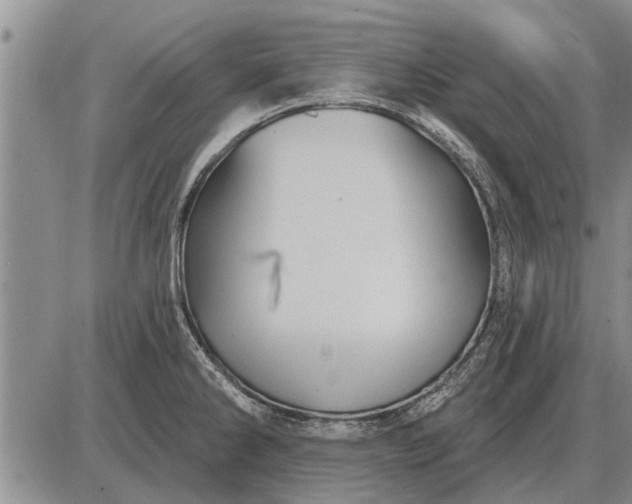 X0000085061286200703191315