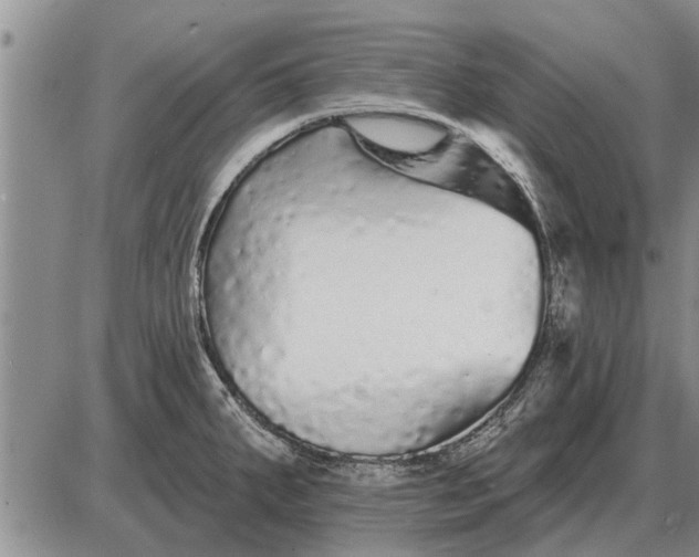 X0000085061287200703191315