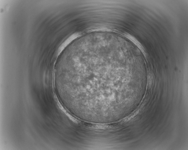 X0000085061290200703191315