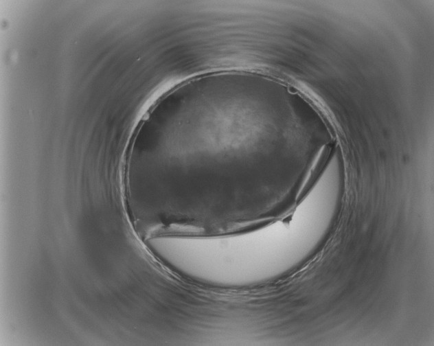 X0000085061291200703191315