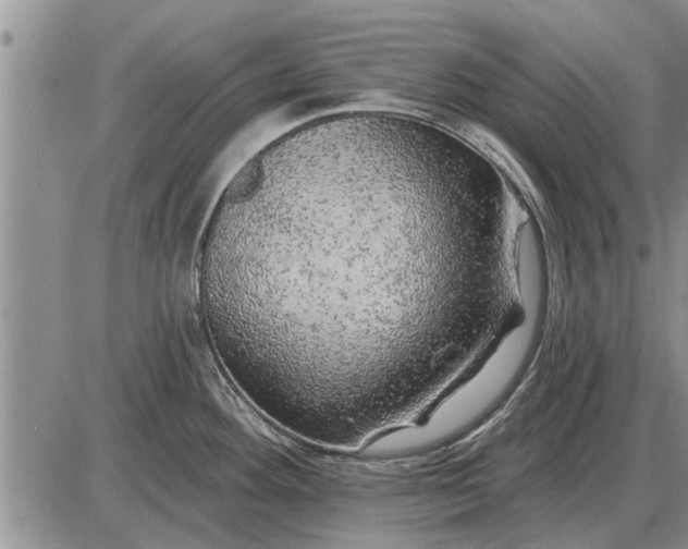 X0000085061292200703191315