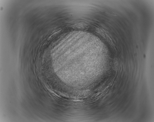 X0000085061297200703191314