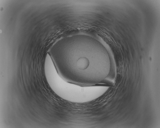 X0000085061298200703191314