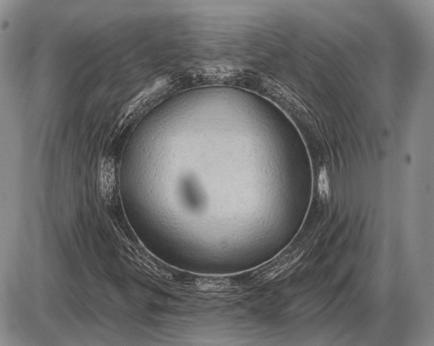 X0000085061299200703191314