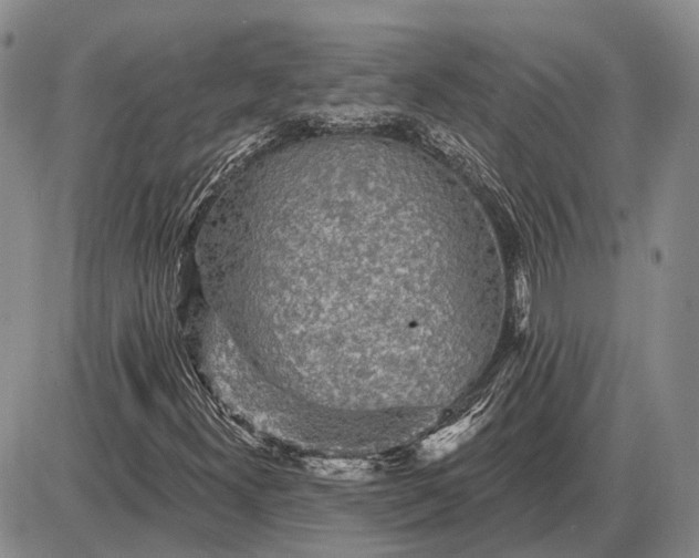 X0000085061300200703191314