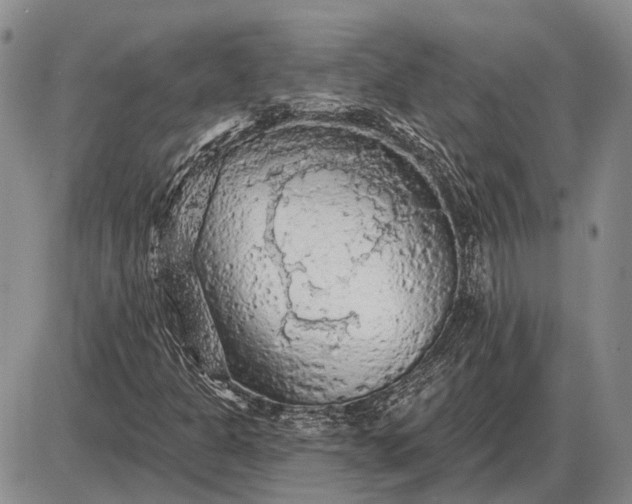 X0000085061301200703191314